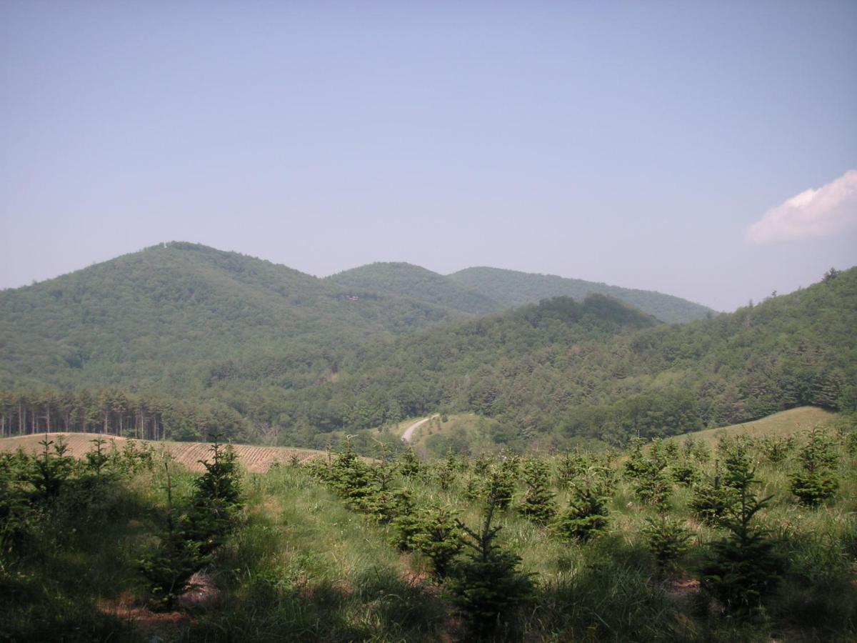 Arrowmont Stables & Cabins Cullowhee Esterno foto