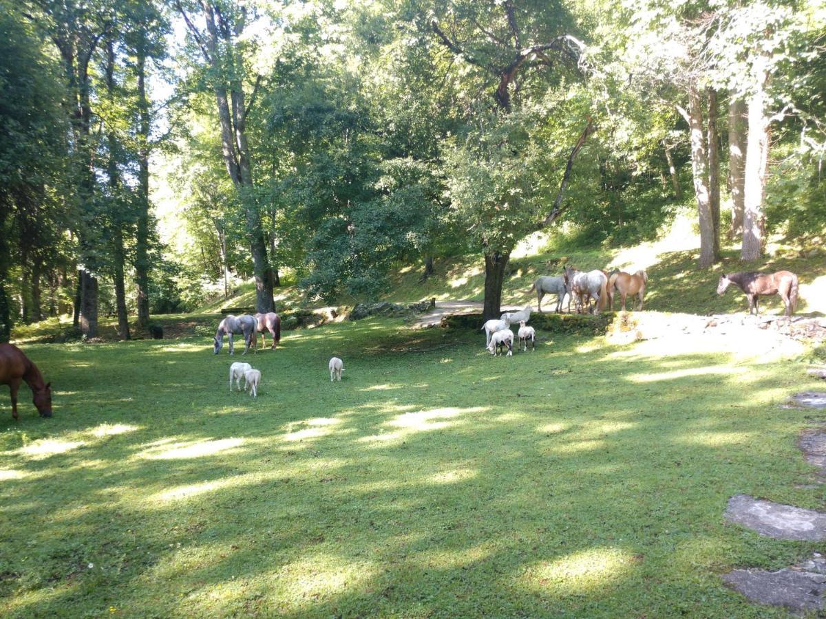 Arrowmont Stables & Cabins Cullowhee Esterno foto