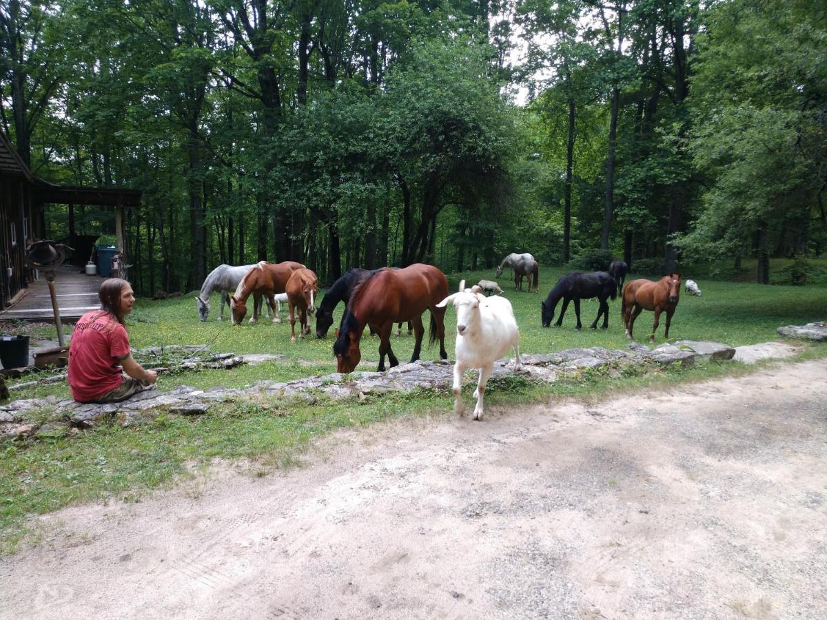 Arrowmont Stables & Cabins Cullowhee Esterno foto