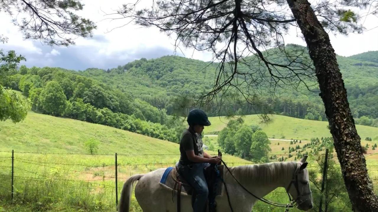 Arrowmont Stables & Cabins Cullowhee Esterno foto