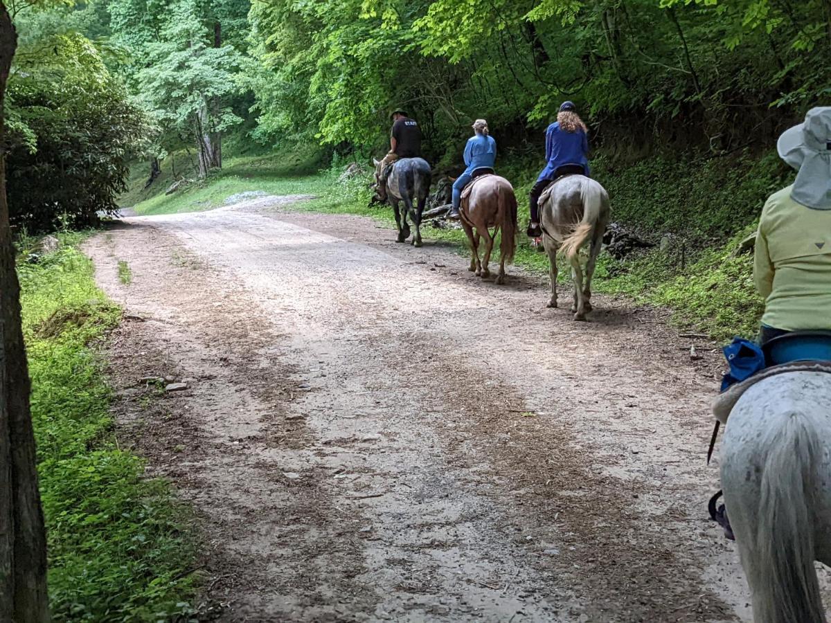 Arrowmont Stables & Cabins Cullowhee Esterno foto