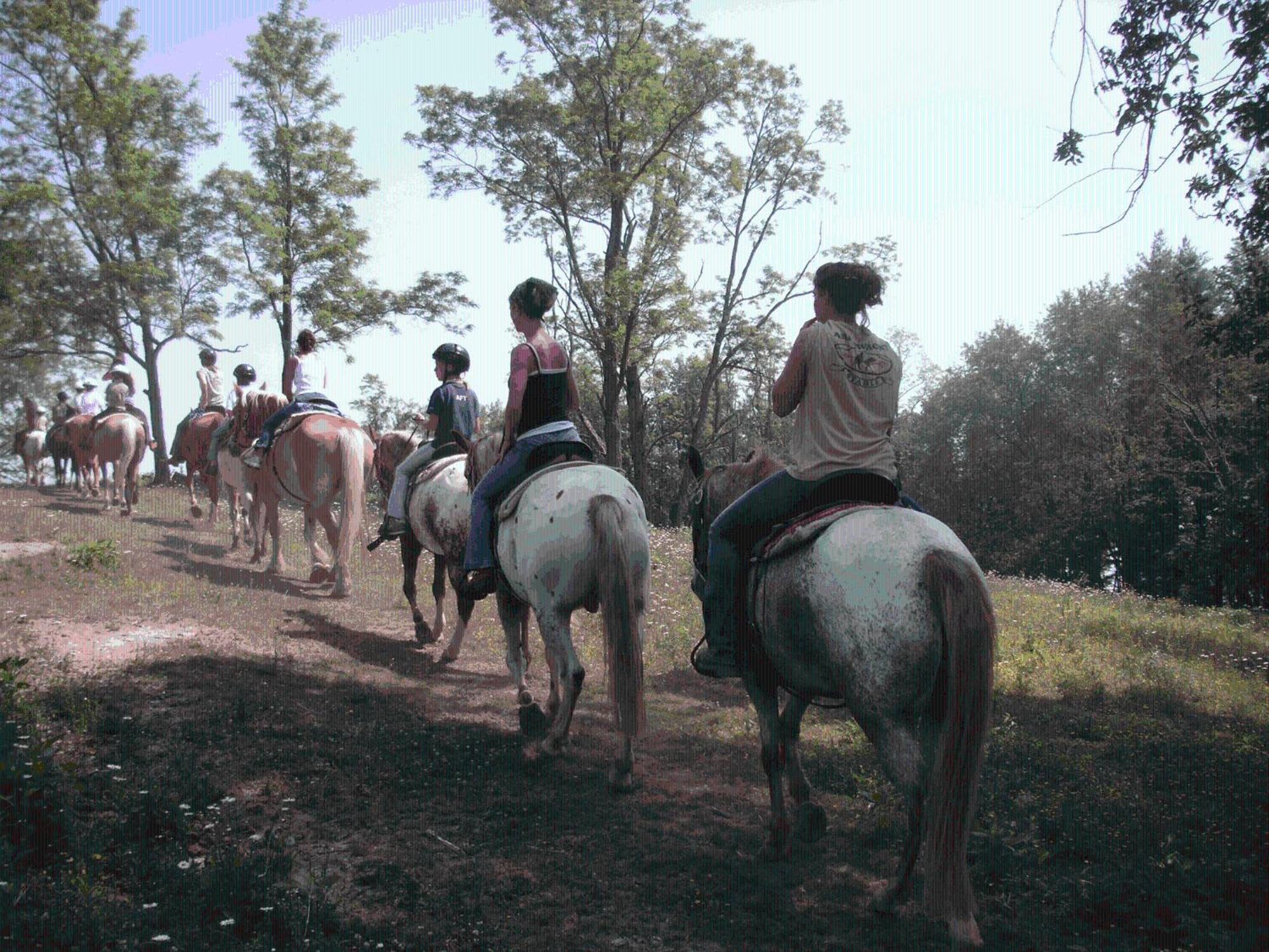 Arrowmont Stables & Cabins Cullowhee Esterno foto