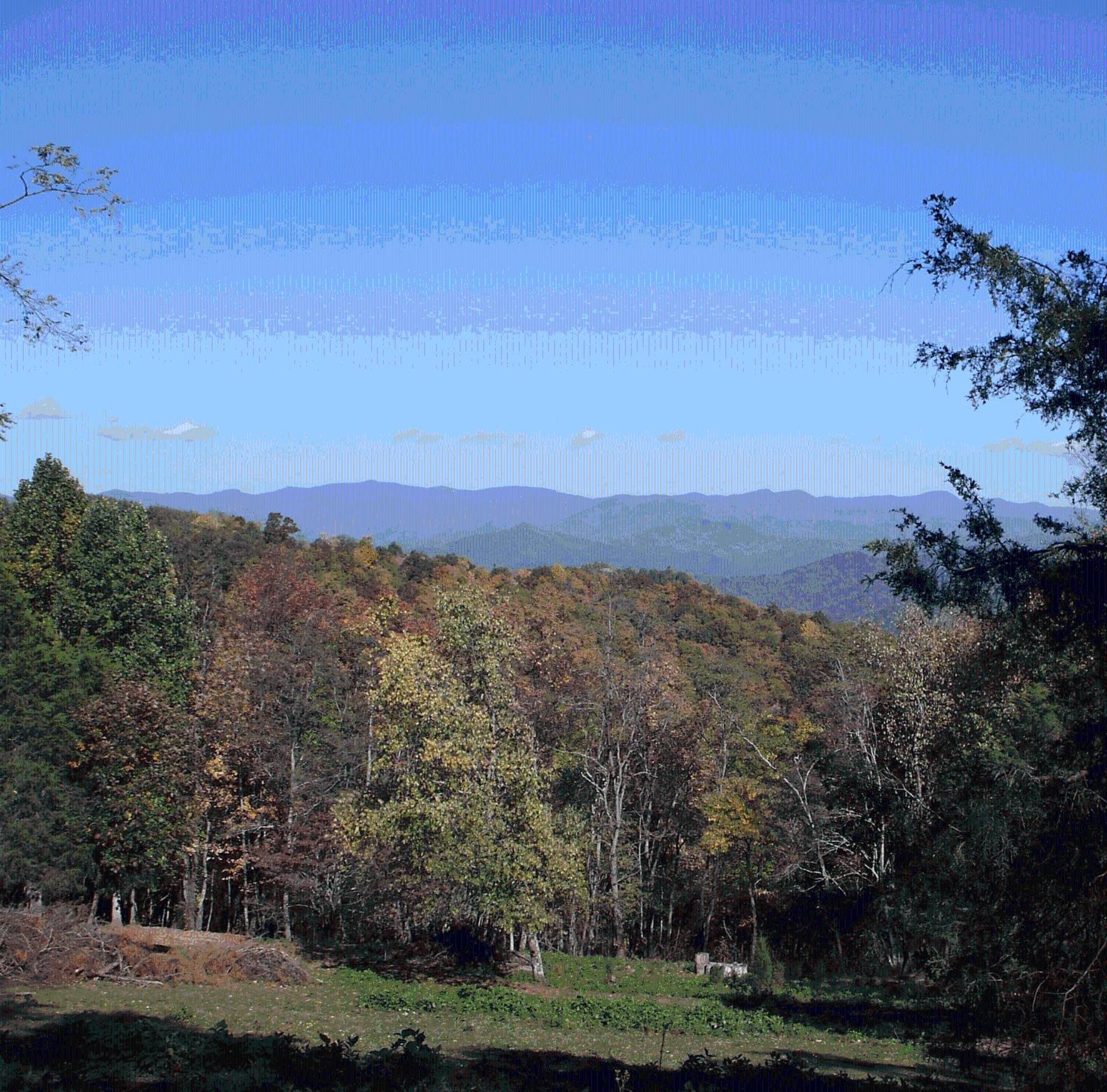 Arrowmont Stables & Cabins Cullowhee Esterno foto