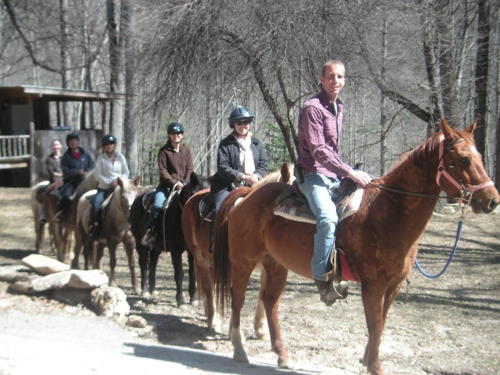 Arrowmont Stables & Cabins Cullowhee Esterno foto