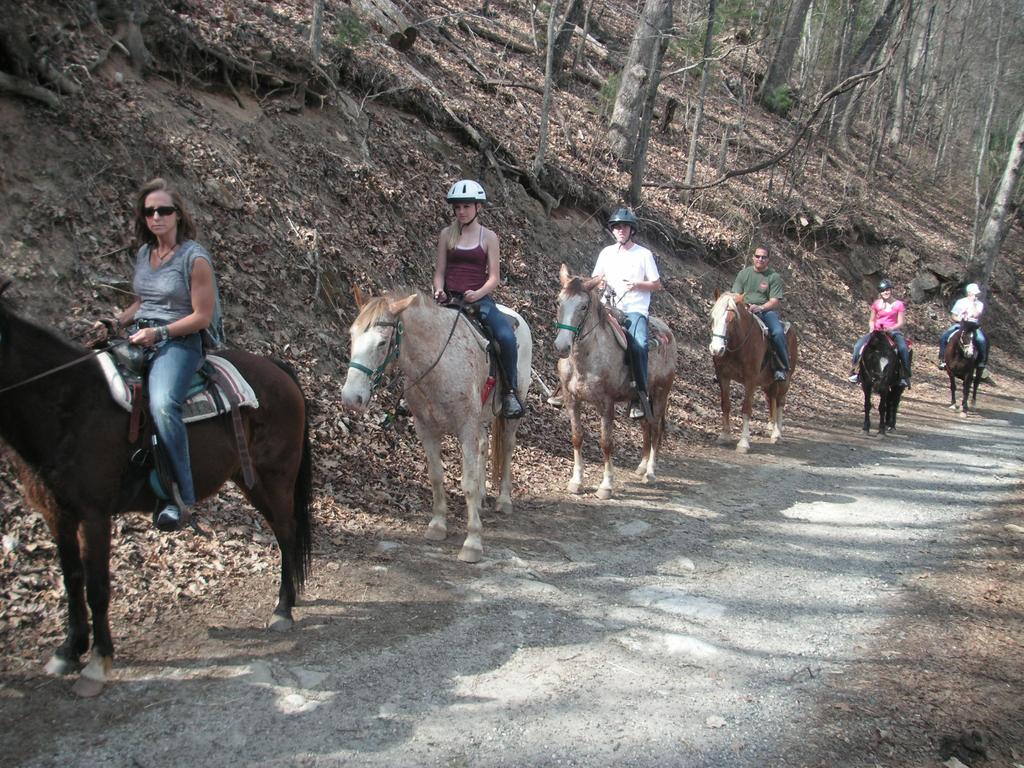 Arrowmont Stables & Cabins Cullowhee Esterno foto