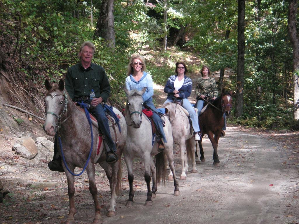 Arrowmont Stables & Cabins Cullowhee Esterno foto