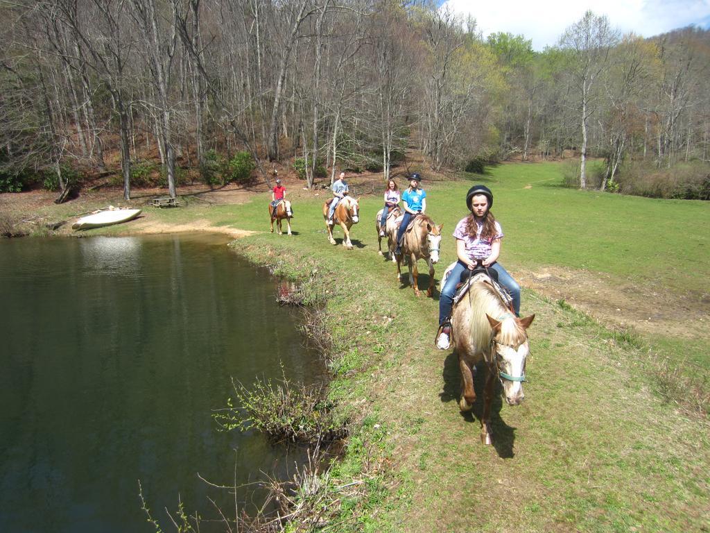 Arrowmont Stables & Cabins Cullowhee Esterno foto