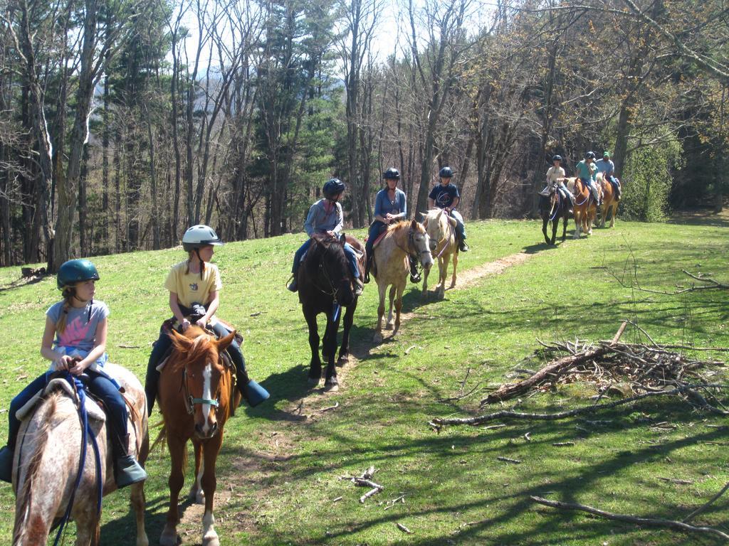Arrowmont Stables & Cabins Cullowhee Esterno foto