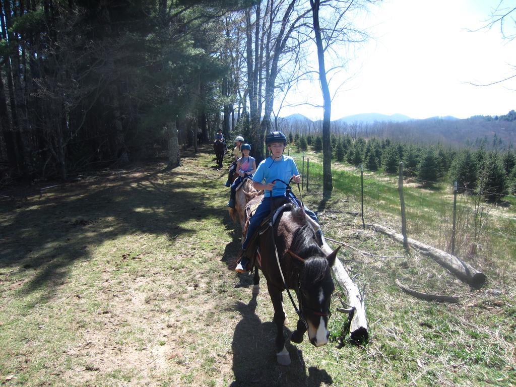 Arrowmont Stables & Cabins Cullowhee Esterno foto