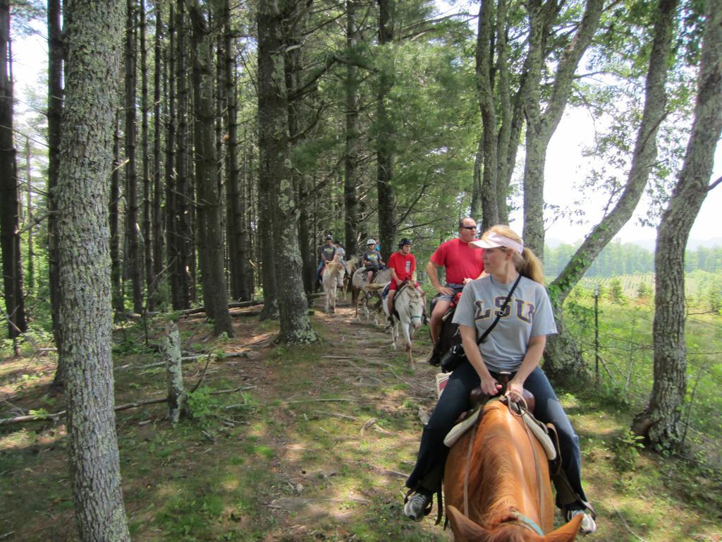 Arrowmont Stables & Cabins Cullowhee Esterno foto