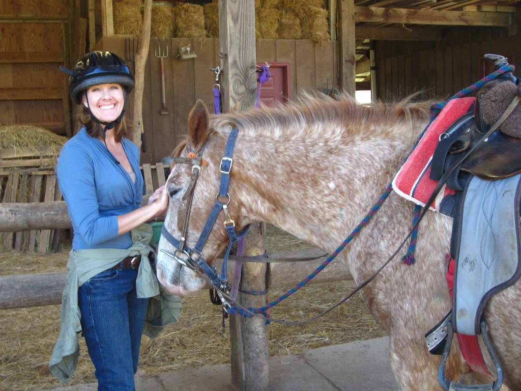 Arrowmont Stables & Cabins Cullowhee Esterno foto