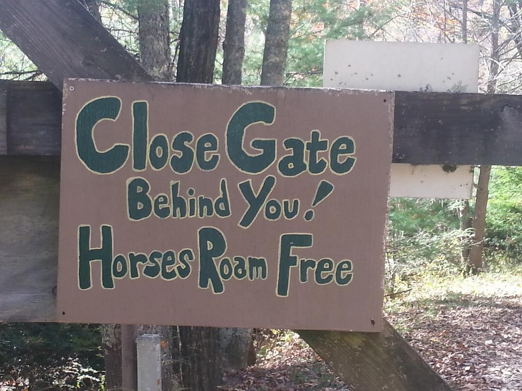 Arrowmont Stables & Cabins Cullowhee Esterno foto