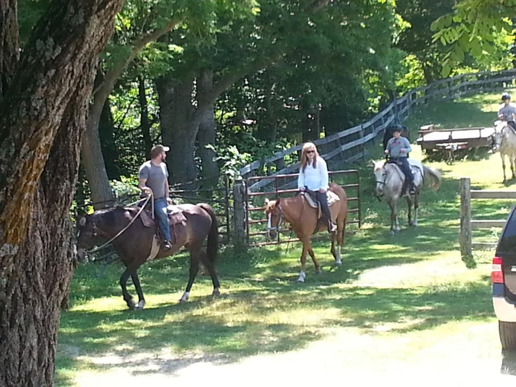 Arrowmont Stables & Cabins Cullowhee Esterno foto