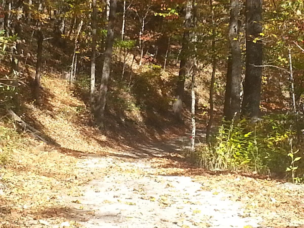 Arrowmont Stables & Cabins Cullowhee Esterno foto